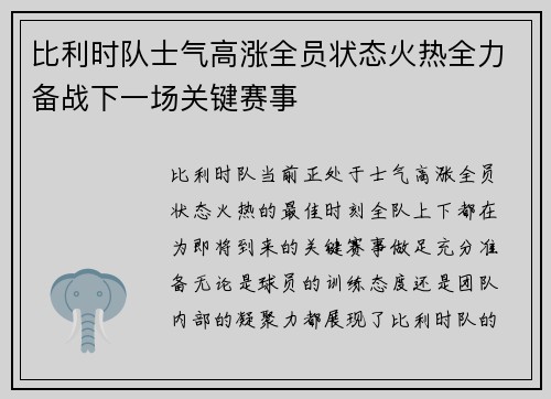 比利时队士气高涨全员状态火热全力备战下一场关键赛事