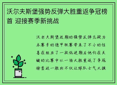 沃尔夫斯堡强势反弹大胜重返争冠榜首 迎接赛季新挑战